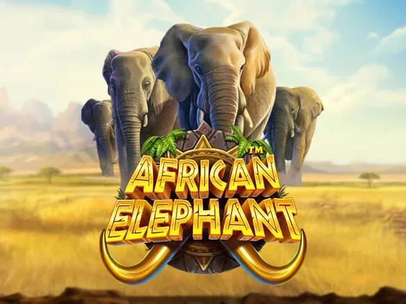 African Elephant™